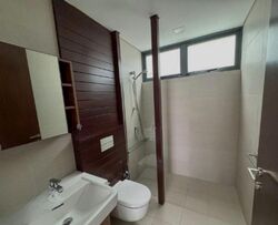 Shamrock Park (D10), Terrace #496531891